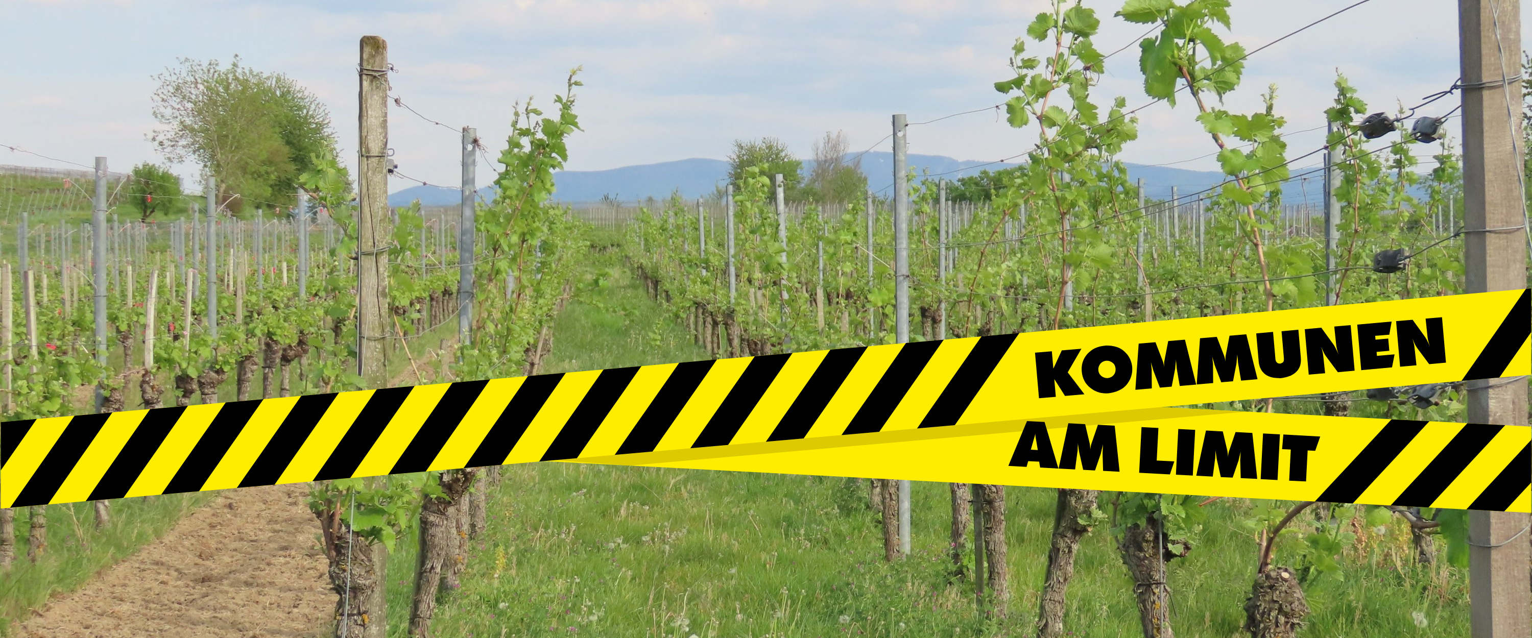 Veranstaltungen in Merdingen Veranstaltungen